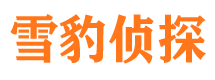 灵武侦探公司